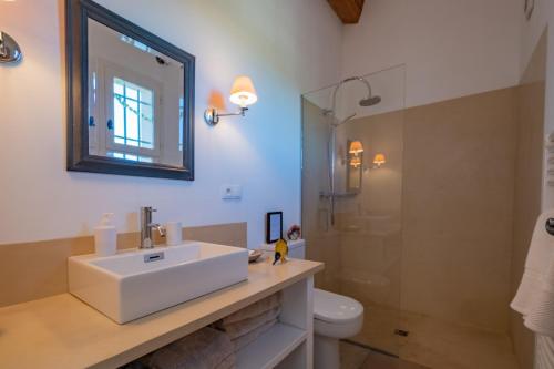 une salle de bain avec un lavabo, des toilettes et un miroir dans l'établissement La Bastide de la Forêt, à Bonnieux