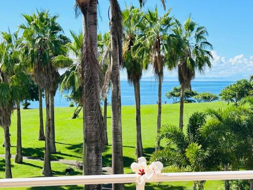 TI COCOTIER Appartement VUE MER 2 à 6 personnes dans village vacances