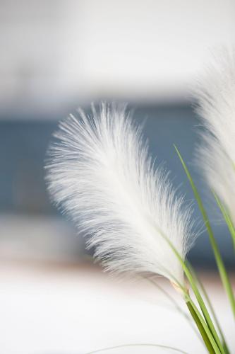 a white feather sitting on top of a book at Apartament Glamour in Gdańsk