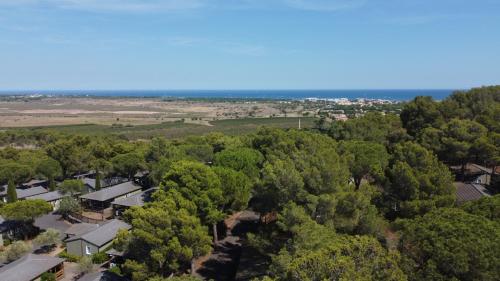 Chalet familial entre les pins