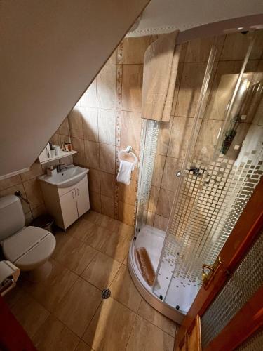 a bathroom with a shower and a toilet at Casa Trei Brazi Bratca in Bratca