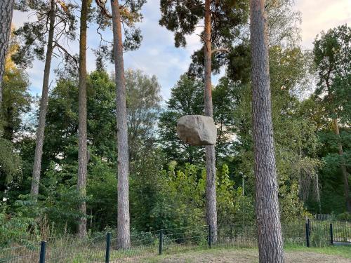 a rock hanging from a tree in a park at My Marina Apartment mit Pool und Sauna am See in Bad Saarow