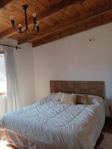 a bedroom with a large bed with a wooden ceiling at Las Piedras in Tafí del Valle