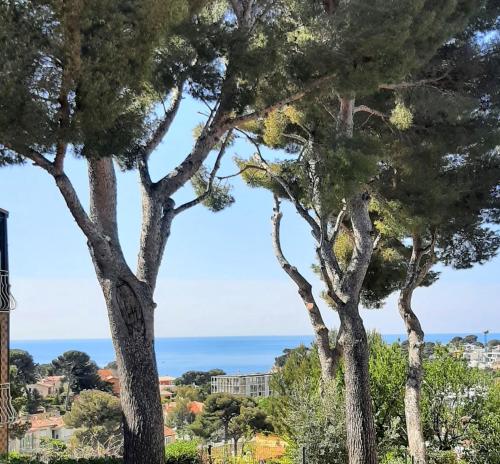 Maison bord de Mer au calme sous les Pins
