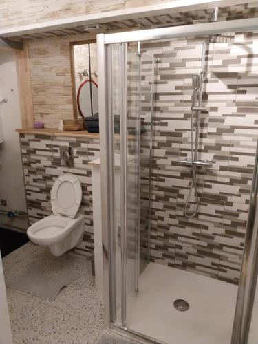 une salle de bain avec toilettes et douche en verre dans l'établissement Petit studio, à Millau