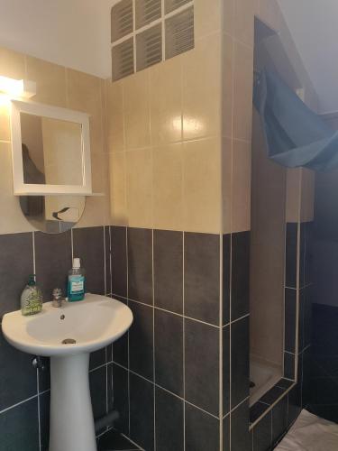une salle de bain avec un lavabo et une douche dans l'établissement Duplex Metz 4 couchages, à Metz