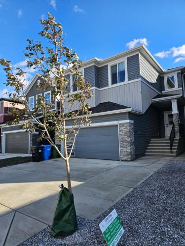 un albero in un sacco davanti a una casa di Cozy 2 bedrooms and 1 bath for 4 guests! a Calgary