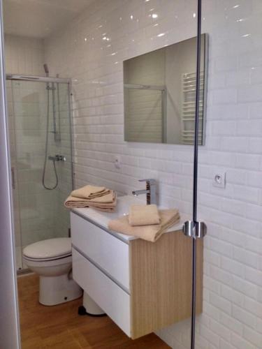 une salle de bain avec toilettes, lavabo et douche dans l'établissement Sous Le Cerisier, à Amélie-les-Bains-Palalda