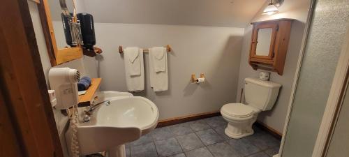 a bathroom with a sink and a toilet and a mirror at Royal Laurentien in Mont-Blanc