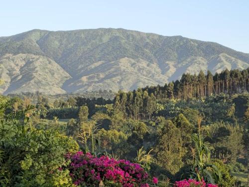 Gallery image of Kaije Country Cottages in Fort Portal
