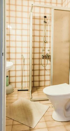a bathroom with a shower and a toilet and a sink at Kouvola Apartment in Kouvola