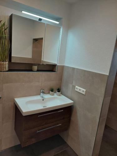a bathroom with a sink and a mirror at Monteurwohnung Ferienwohnung in Wüstenrot