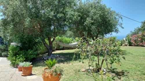 Κήπος έξω από το Villa Gecko, Arillas