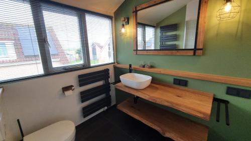 a bathroom with a sink and a mirror and a toilet at Kustverhuur, Breskens Zwin 051 in Breskens