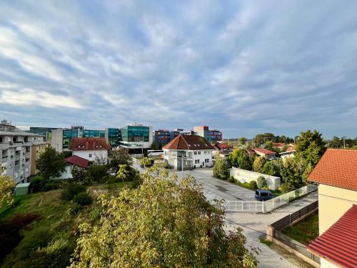 a view of a city with buildings in the background at Apartment Aurora in Buzin