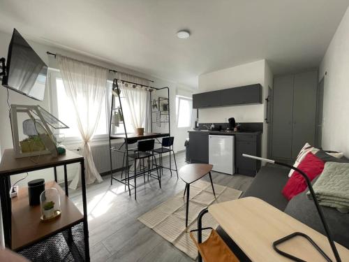 un salon avec une cuisine et un salon avec un canapé dans l'établissement T2 Elio - proche gare et aéroport, parking privé, à Saint-Louis