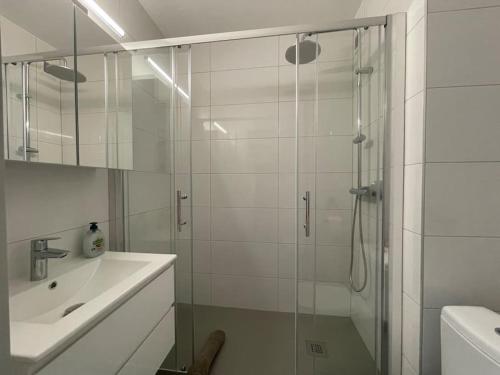 une salle de bain avec une douche en verre et un lavabo dans l'établissement T2 Elio - proche gare et aéroport, parking privé, à Saint-Louis