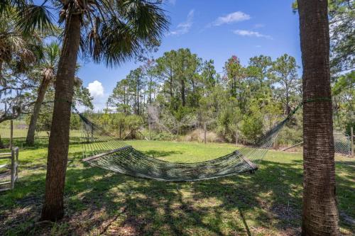 a hammock in a field between two palm trees at 10 Minutes to the Beach. Pet Yes in Harbor Island