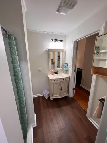 a bathroom with a sink and a mirror at Lux Studio W Kitchenette Pet Yes in Beaufort
