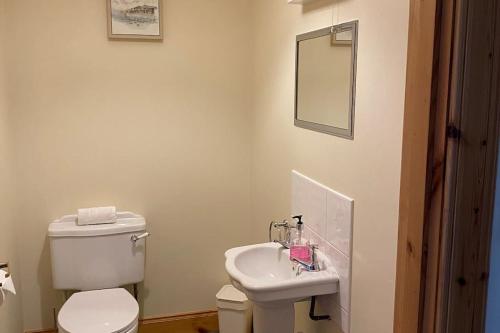 a bathroom with a white toilet and a sink at Dalfaber House Luxury holidays in the Highlands in Aviemore