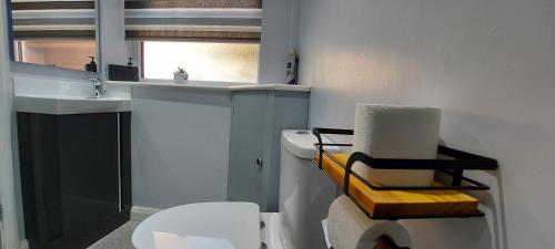 a bathroom with a toilet and a sink and a window at Southwell Stays in Southwell