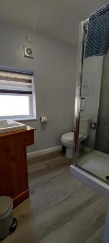a bathroom with a toilet and a sink and a shower at Southwell Stays in Southwell