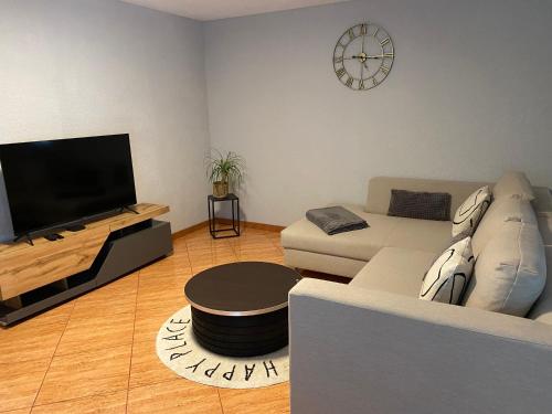 a living room with a couch and a flat screen tv at Ferienwohnung 3 Schweizer in Fützen