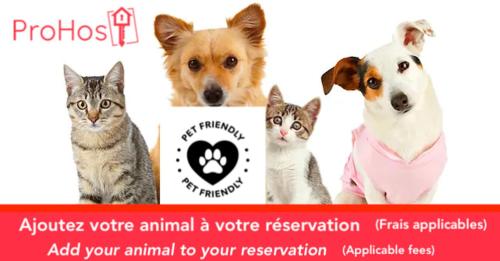 a group of dogs and cats holding a sign at Lovely Calm Boho Spa & Sauna in Quebec City