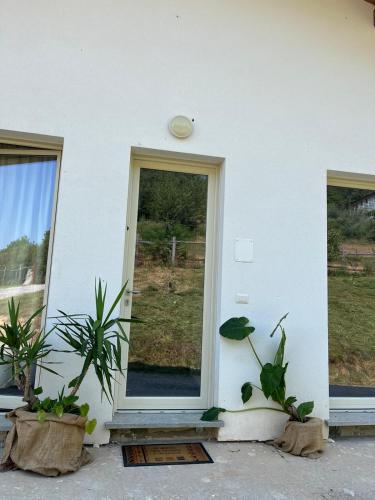 Κήπος έξω από το Casa Colet