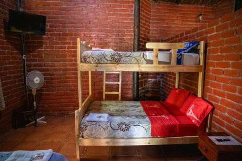 two bunk beds in a room with a brick wall at Hosteria Kindi Wasi in Puyo