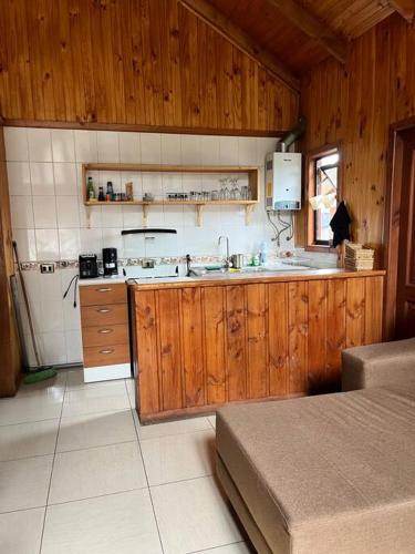 a kitchen with wooden cabinets and a counter top at Cabaña Los Pinos in Malalcahuello