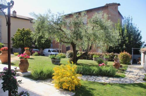 B&B Il Canto del Gallo – Photos 4