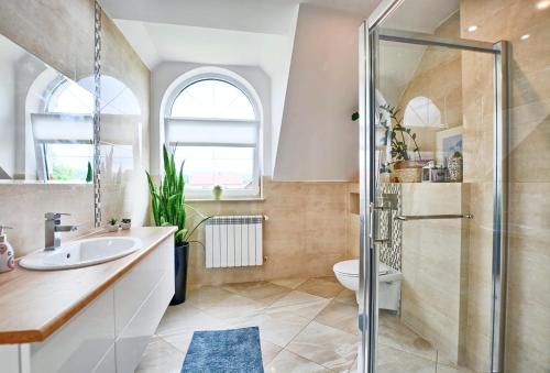 a bathroom with a shower and a sink and a toilet at Pokoje i apartamenty Ferencówka Bieszczady in Zawóz