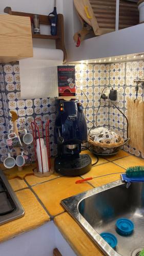 a kitchen counter with a mixer and a sink at Casa vacanze Valentina in Campo di Giove