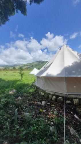 Příroda nedaleko luxury tent