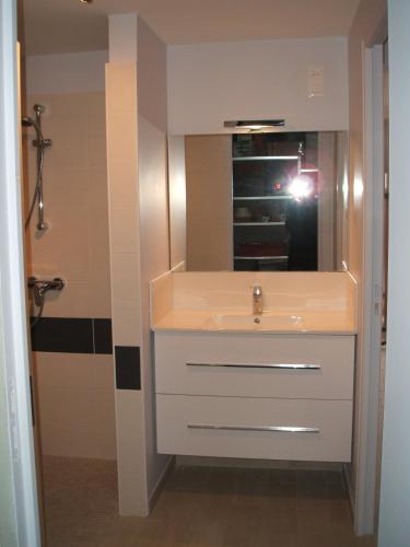 une salle de bain avec un lavabo et un miroir dans l'établissement Appartement Guillestre, à Guillestre