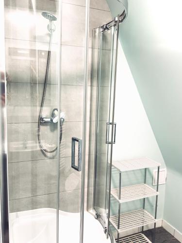 a shower with a glass door in a bathroom at Główna Apartamenty Nad Nogatem in Malbork