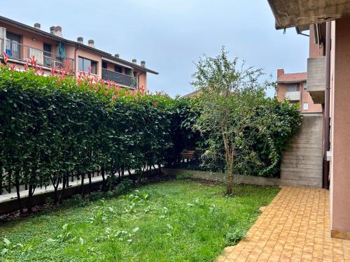 a garden with a hedge and a small tree at Appartamento Iris - Immobili e Soluzioni Rent in Lallio