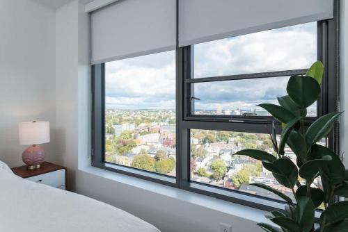 a bedroom with a large window with a plant at Luxury Studio King bed Gym near MIT Harvard in Cambridge