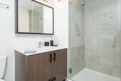 a bathroom with a shower and a sink and a mirror at Central Serene Condo King Bed by MIT Harvard GYM in Cambridge