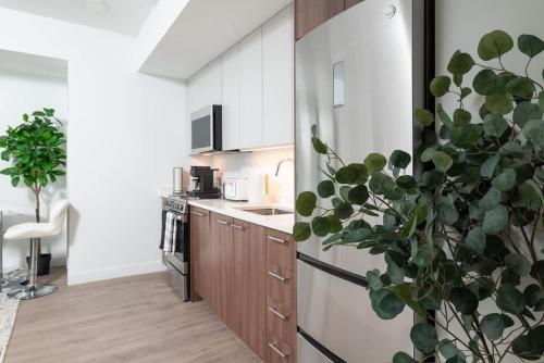 a kitchen with white cabinets and a potted plant at Lux Studio 2xQueen beds Gym near MIT Harvard in Cambridge