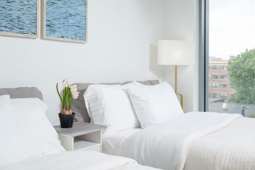 two white beds in a room with a window at Lux Studio 2xQueen beds Gym near MIT Harvard in Cambridge