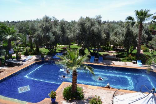 an overhead view of a swimming pool with a palm tree at Le Relais De Marrakech in Marrakech