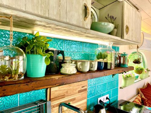 a kitchen with blue tiles and plants on a shelf at Bohemian ECO lodge in Kisapáti