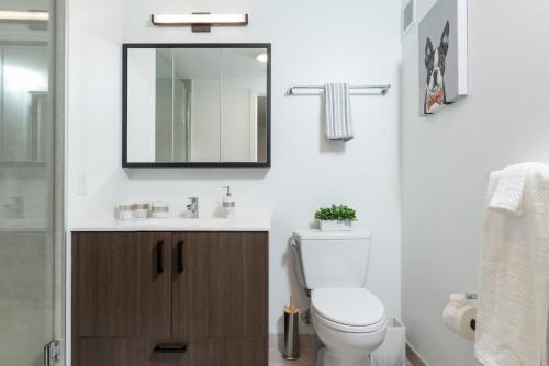 a bathroom with a toilet and a sink and a mirror at Upscale Penthouse near MIT Harvard Central Square in Cambridge