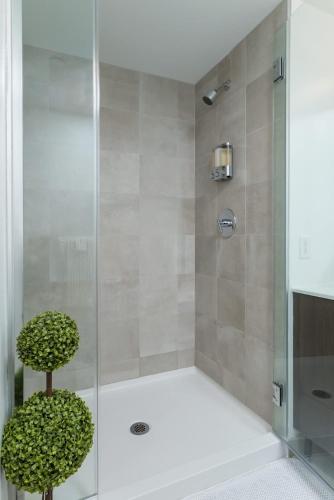a shower with a glass door with a plant at Upscale Penthouse near MIT Harvard Central Square in Cambridge