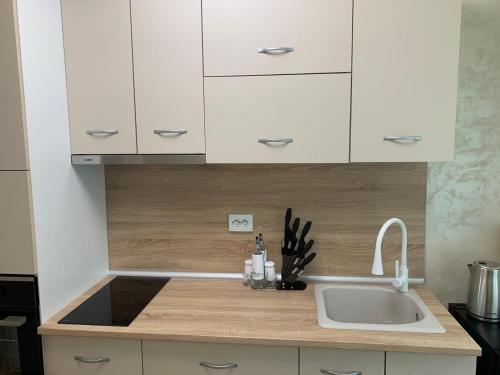 Kuchyň nebo kuchyňský kout v ubytování Апартамент Easy Lux