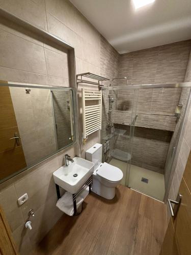 a bathroom with a toilet and a sink at Apartamentos Deluxe Barajas in Madrid