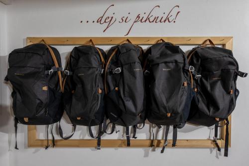Galeriebild der Unterkunft Penzion Lederer in Dolní Dunajovice