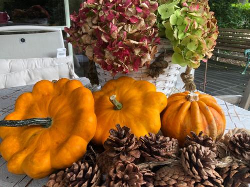 a group of pumpkins and pine cones on a table at Chalet 2Relax in Zutendaal